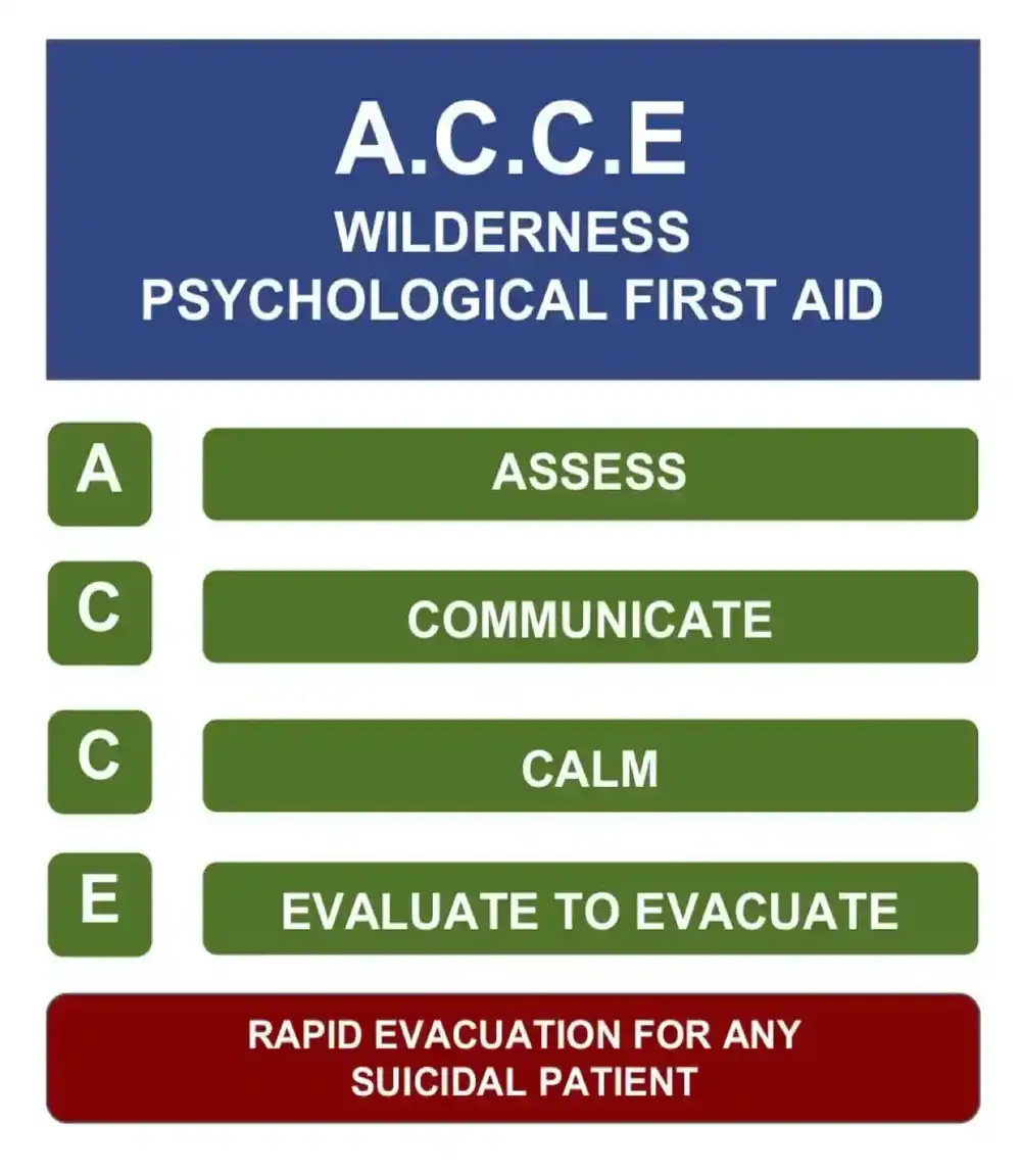 A.C.C.E Model