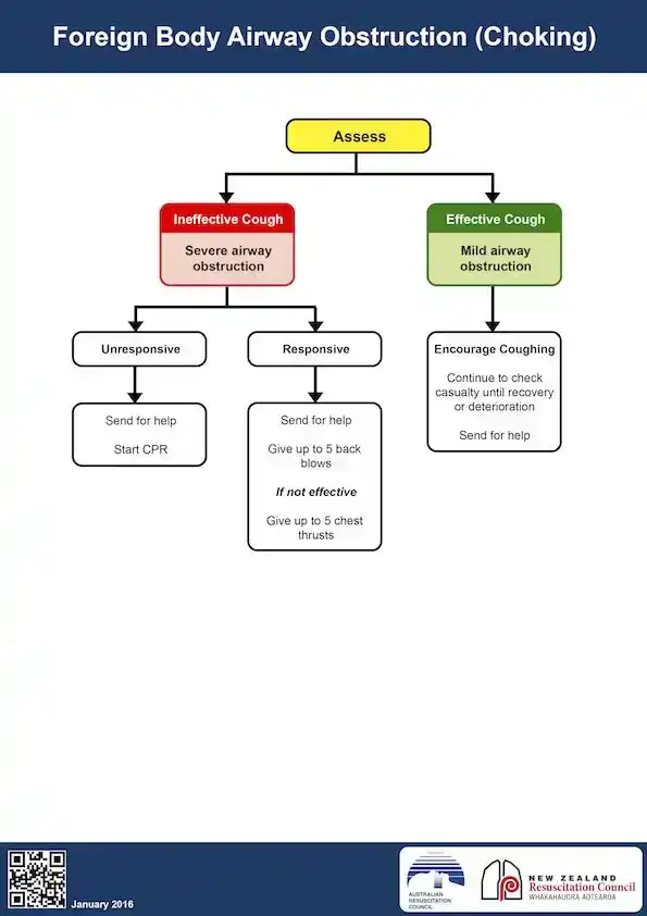 ANZCOR Choking Flowchart