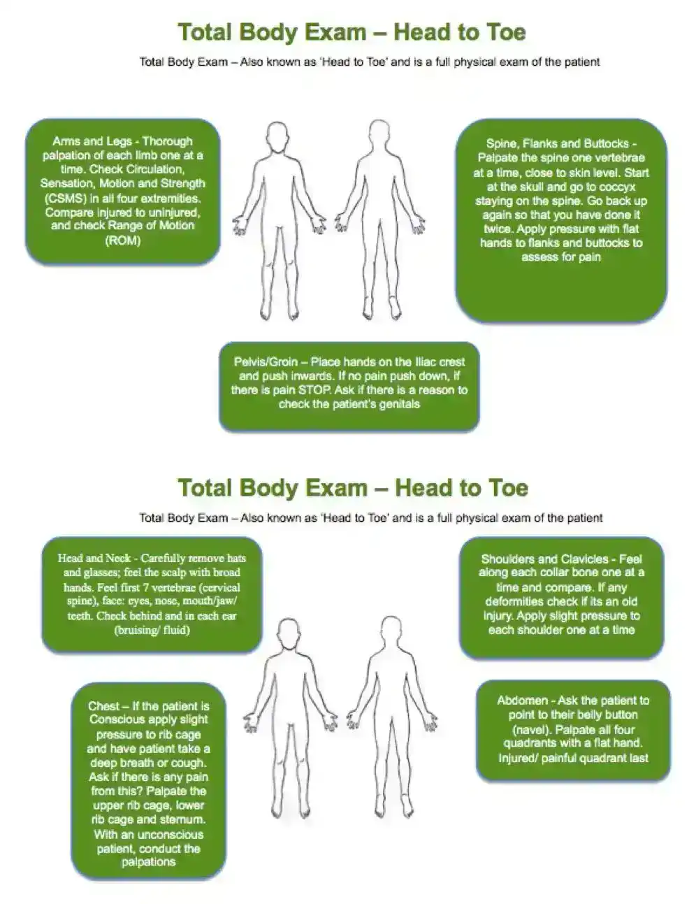 Head to Toe Exam