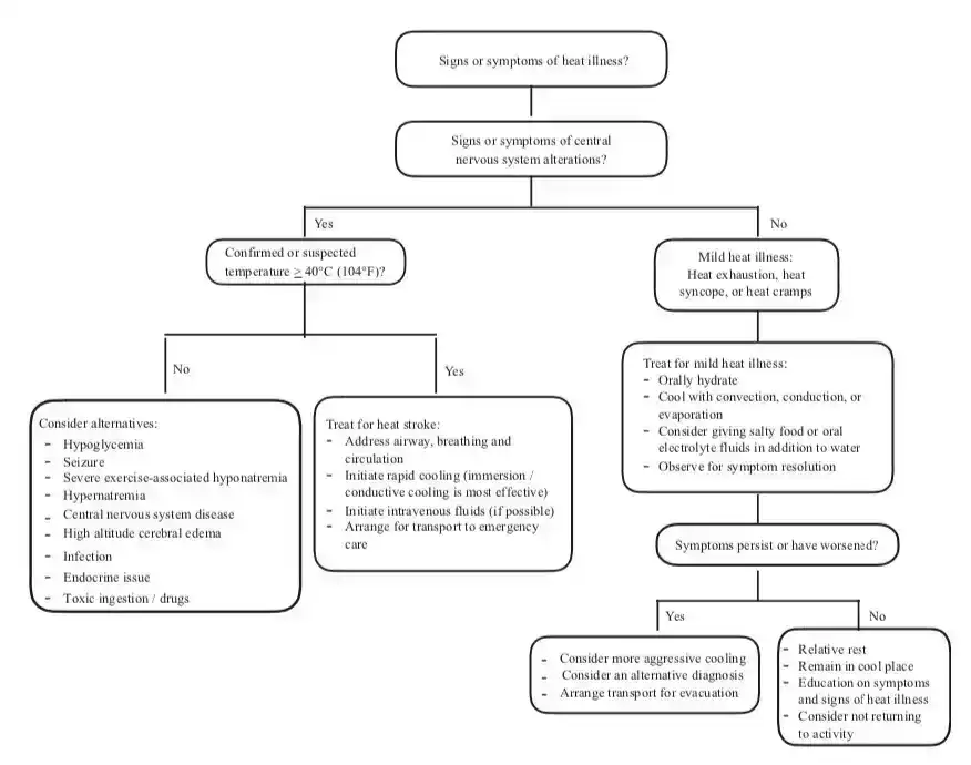 Figure 1. Heat illness treatment algorithm.