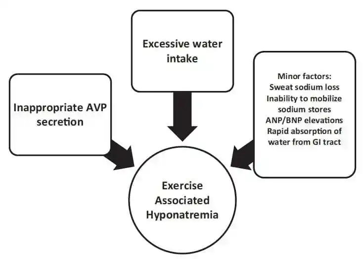 Figure 1: Exercise-associated hyponatremia pathogenesis