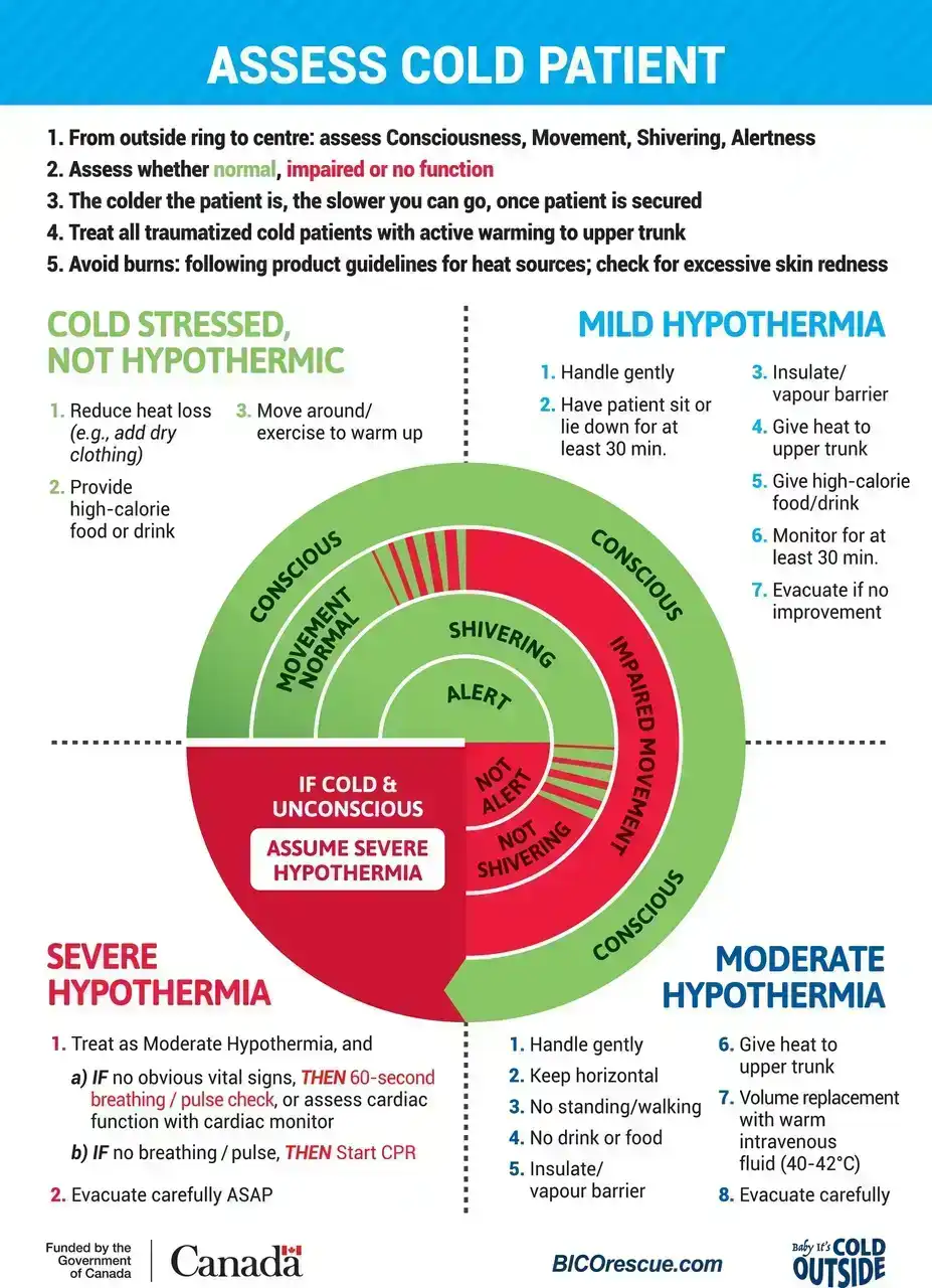 Assessment of the Cold Patient