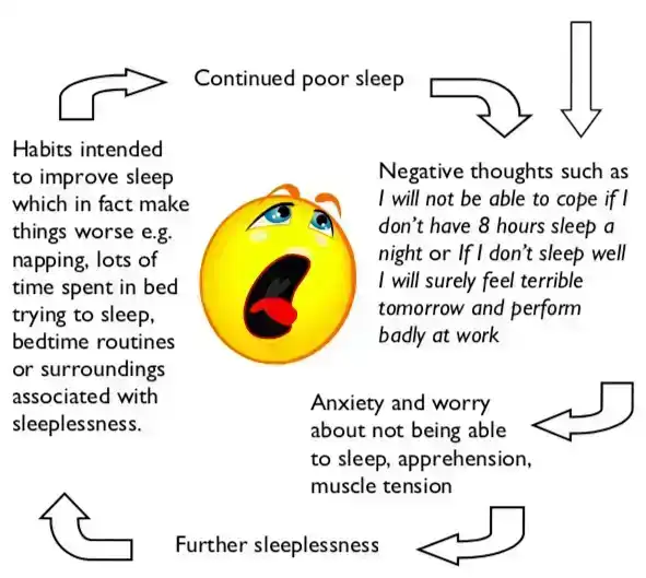 The Vicious Cycle of Insomnia