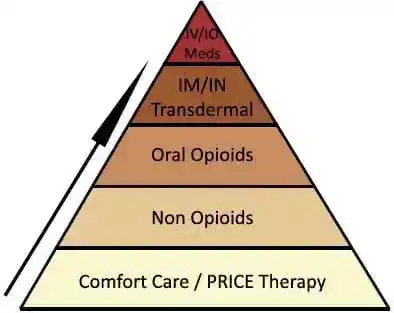 Figure.Pain management pyramid. IM, intramuscular; IN, intranasal; IO, intraosseous; IV, intravenous; PRICE, protection, rest, ice, compression, and elevation